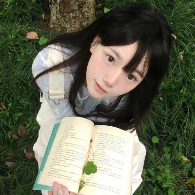 战斗少女 血之铁假面传说